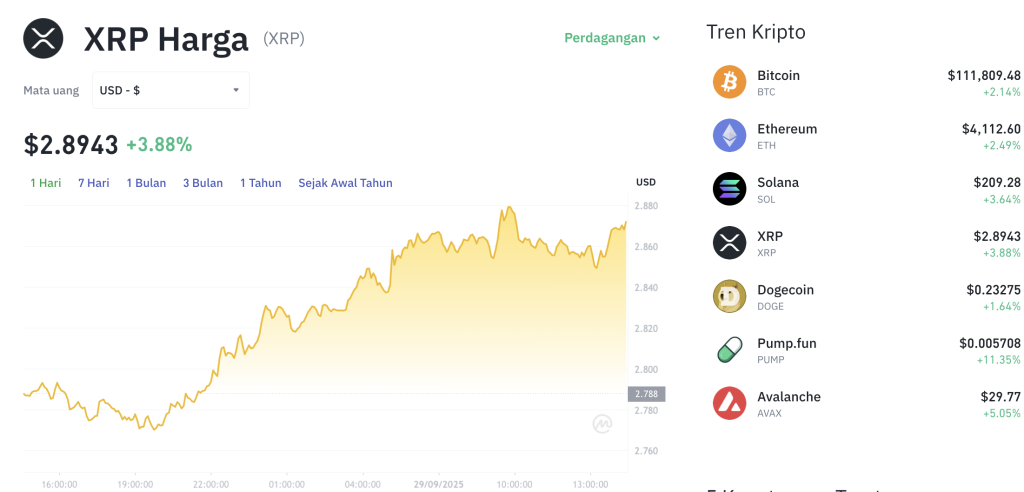 XRP Bangkit Oktober Ini? Level Kritis Terungkap! XRP Bangkit Oktober Ini? Level Kritis Terungkap!