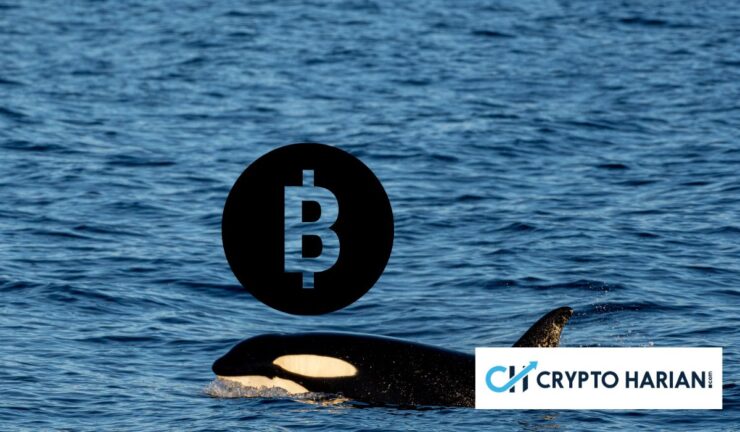 Bitcoin: Sinyal Bahaya atau Hanya Koreksi? 1 Bitcoin: Sinyal Bahaya atau Hanya Koreksi?