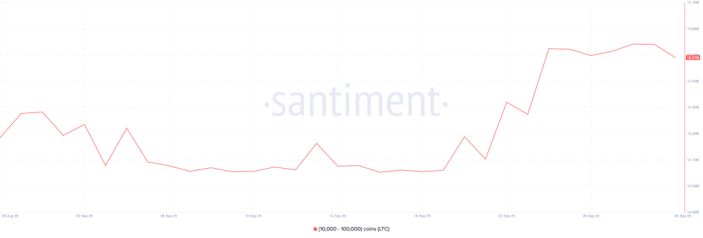 Whale Crypto Serbu Altcoin Ini! Siap Terbang Oktober?