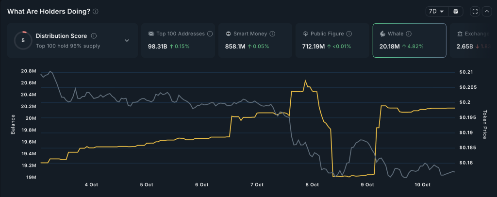 Paus Kripto Bergerak! 3 Aset Ini Jadi Incaran?