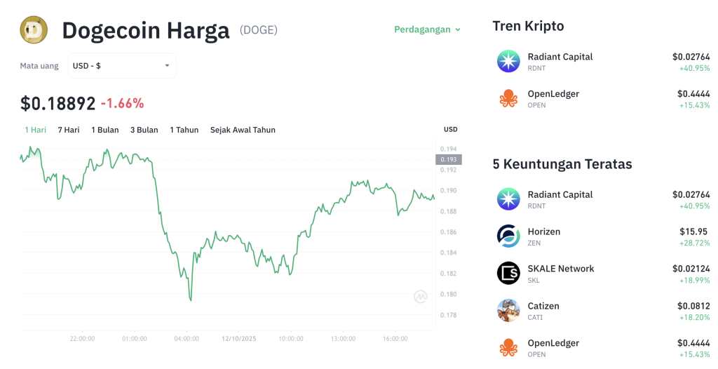 DOGE Anjlok! Saatnya Borong? Analis Ungkap Peluang Emas!