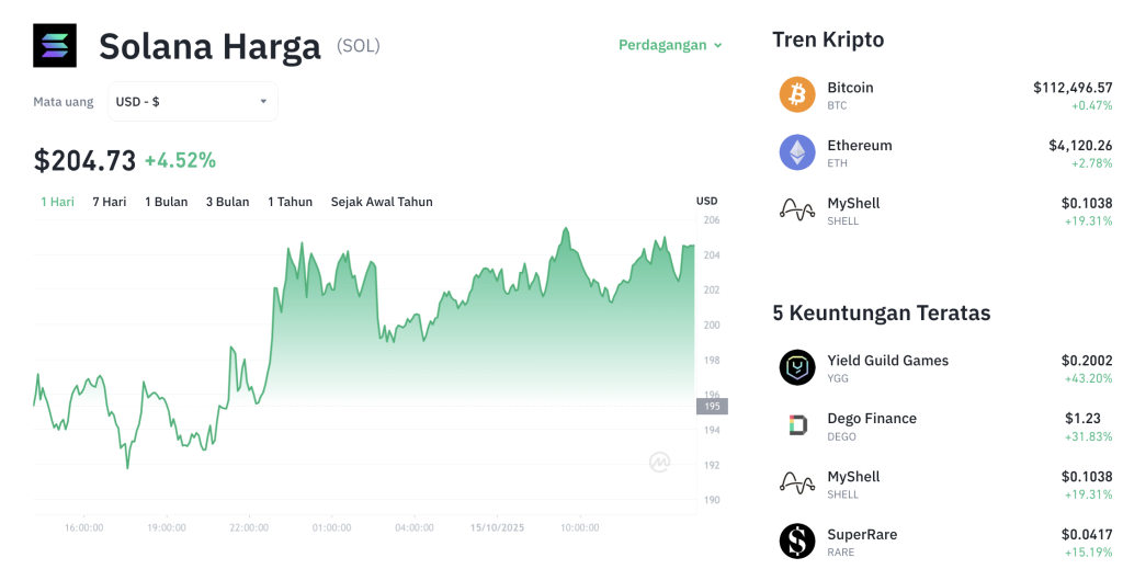 Whale Borong Solana! Harga Siap Terbang Tinggi?