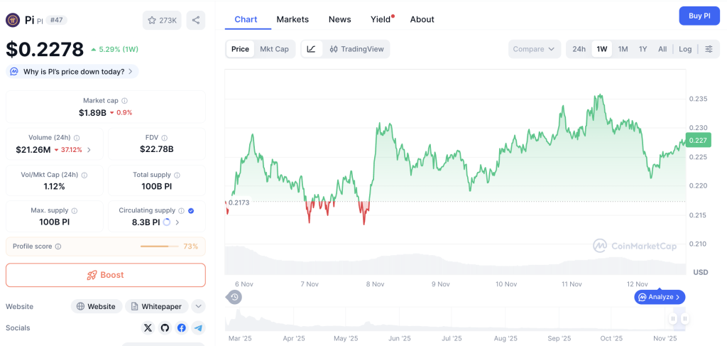 Pi Network di Ujung Jurang? Harga Terancam Anjlok!