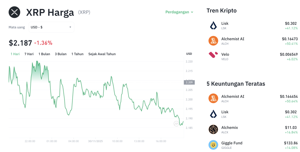 XRP Diam-Diam Melonjak? Ada Kejutan Besar!