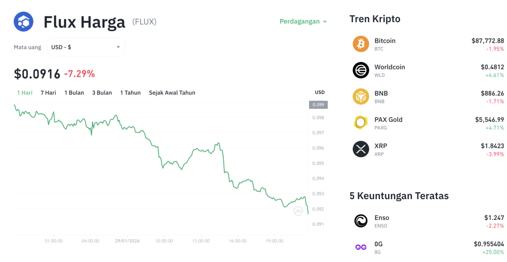 FLUX Siap Guncang Pasar! AMA Live Ungkap Rahasia Baru?