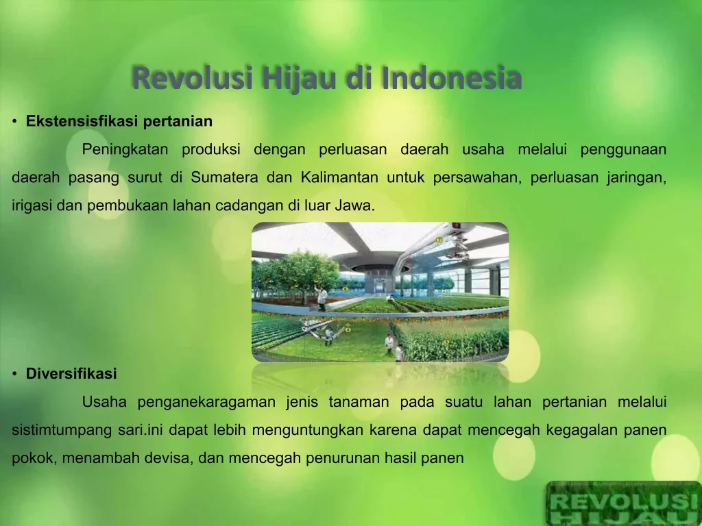 Revolusi Hijau Solana: Harga Melonjak 5,56% ke $107, Investor Kembali Bergairah!