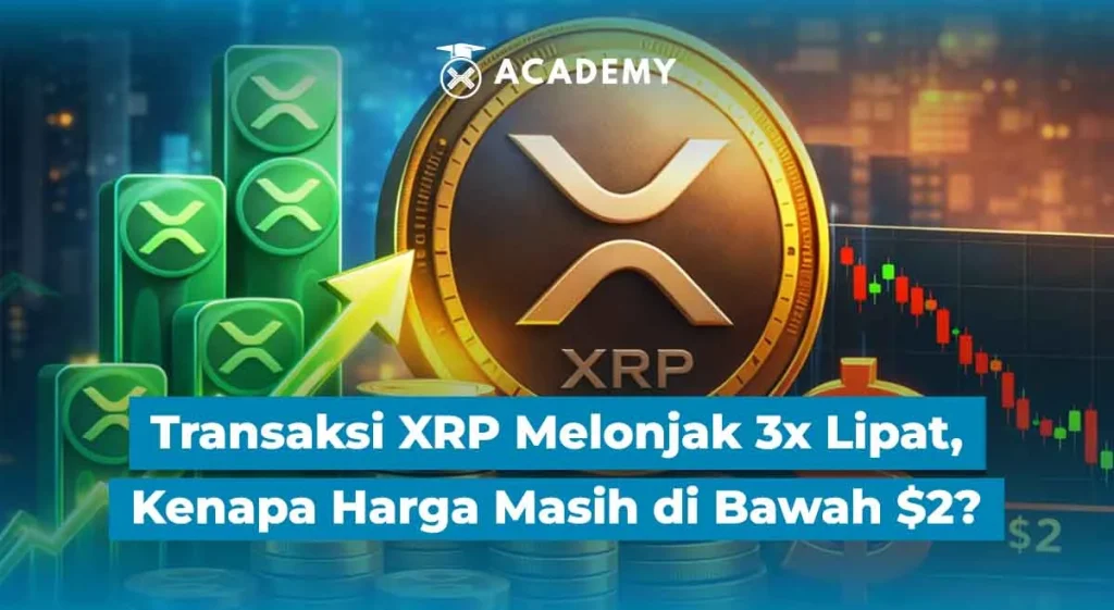 XRP Menggila! Reli Berlanjut, Harga Melonjak 19% Tembus $1,56